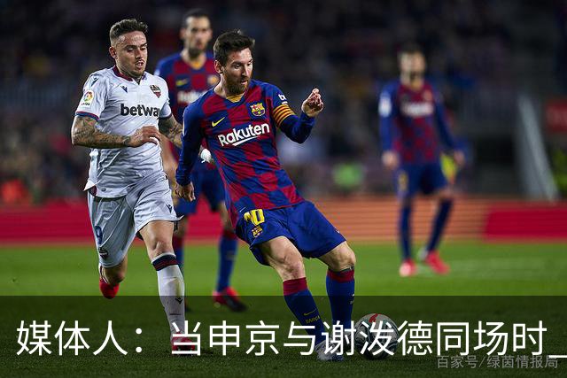 媒体人：当申京与谢泼德同场时 火箭的挡拆防守会被对手无情摧毁